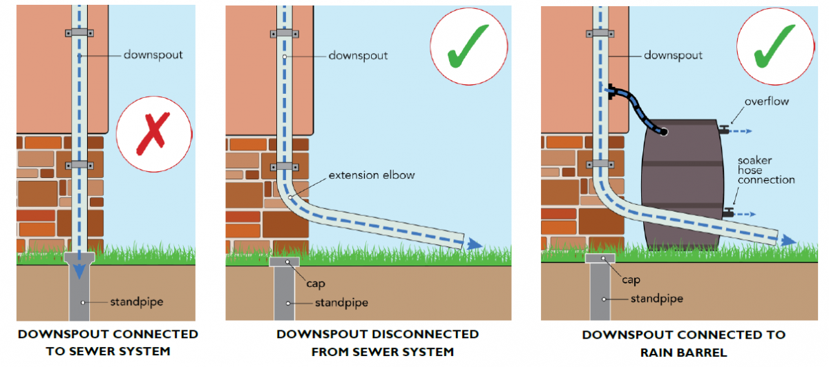 Downspout Disconnection Program DC Water